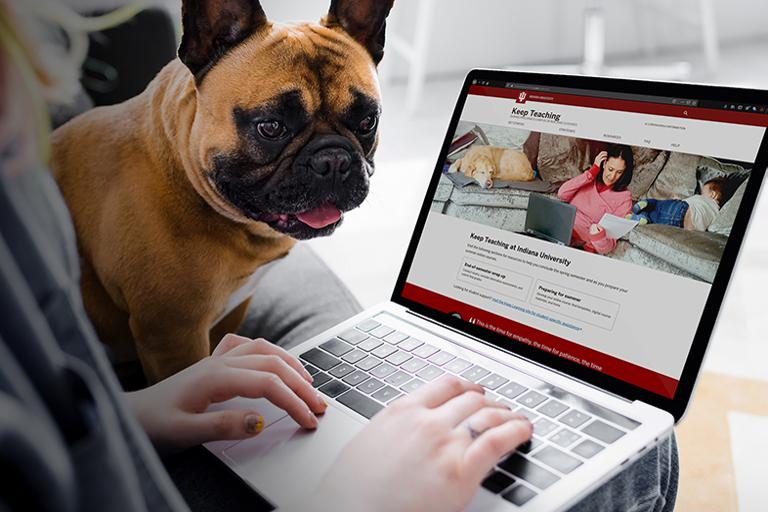 Photo of dog on a person's lap, looking at laptop displaying the Keep Teaching website.