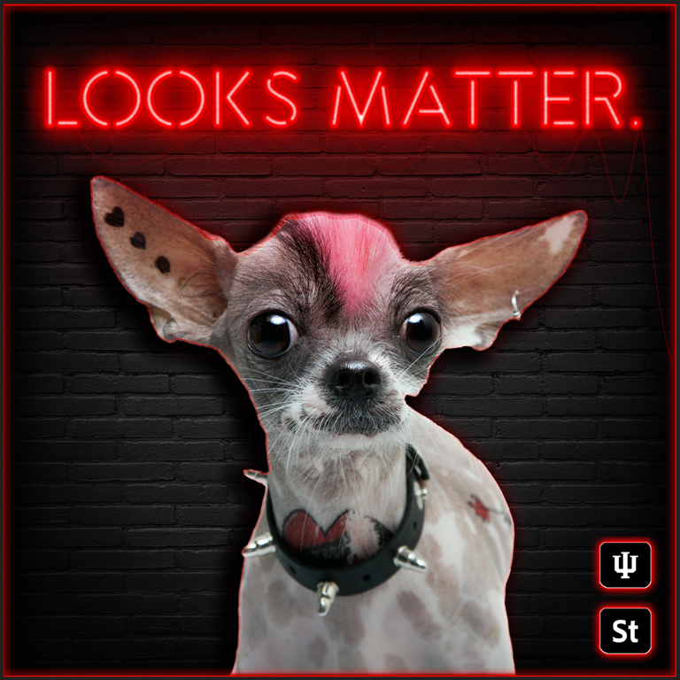 Advertisement for Adobe Stock at IU. The slogan, Looks Matter, is in neon lettering at the top with a long-eared dog with big eyes and a small snout underneath.