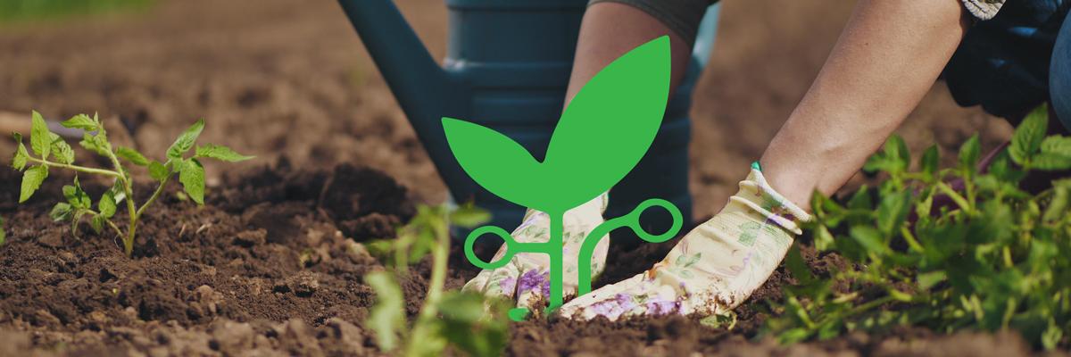 A gardener planting the Digital Gardener Initiative logo in a garden with other seedlings